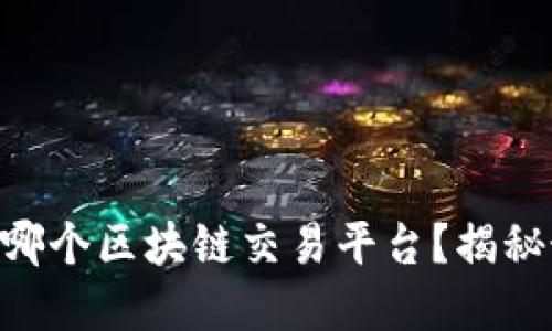 2023年，你选择哪个区块链交易平台？揭秘最佳选项的悬念