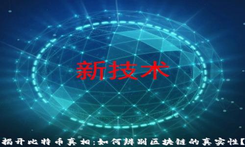 
揭开比特币真相：如何辨别区块链的真实性？