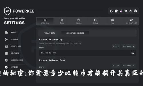 区块链的秘密：你需要多少比特币才能揭开其真正的价值？