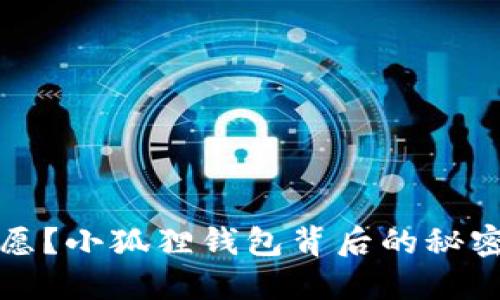 中本聪遗愿？小狐狸钱包背后的秘密币种揭秘