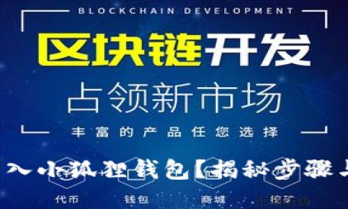 如何导入小狐狸钱包？揭秘步骤与技巧！