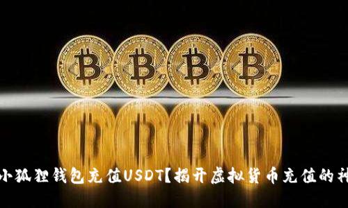 如何在小狐狸钱包充值USDT？揭开虚拟货币充值的神秘面纱