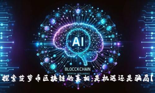 探索菠萝币区块链的真相:是机遇还是骗局?