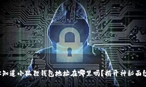 你知道小狐狸钱包地址在哪里吗？揭开神秘面纱！