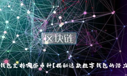 小狐狸钱包支持哪些币种？揭秘这款数字钱包的潜力与限制