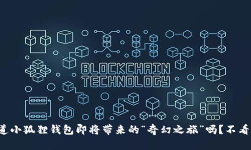 你知道小狐狸钱包即将带来的“奇幻之旅”吗？不看后悔！