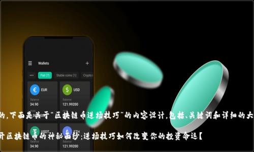 好的，下面是关于“区块链币进场技巧”的内容设计，包括、关键词和详细的大纲。

揭开区块链币的神秘面纱：进场技巧如何改变你的投资命运？