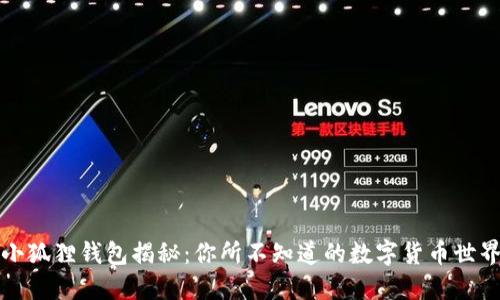 小狐狸钱包揭秘：你所不知道的数字货币世界