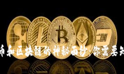 揭开比特币和区块链的神秘面纱：你需要知道的一切