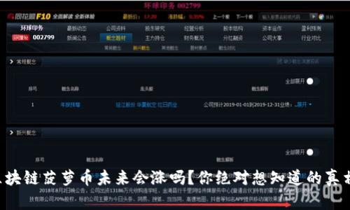 区块链菠萝币未来会涨吗？你绝对想知道的真相！