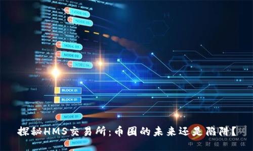 探秘HMS交易所：币圈的未来还是陷阱？