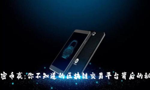解密币嬴：你不知道的区块链交易平台背后的秘密