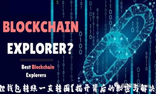 小狐狸钱包转账一直转圈?揭开背后的秘密与解决方法!