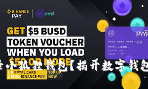 如何安全登录小狐狸钱包？揭开数字钱包的神秘面纱！