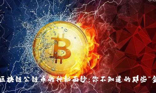 揭开区块链公链币的神秘面纱：你不知道的那些“金矿”！