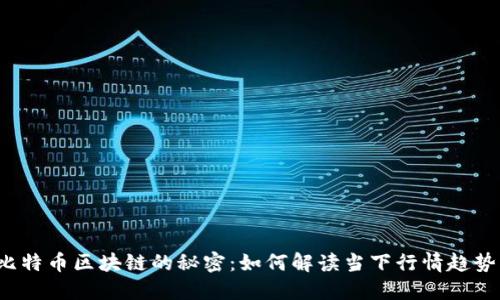 比特币区块链的秘密：如何解读当下行情趋势？