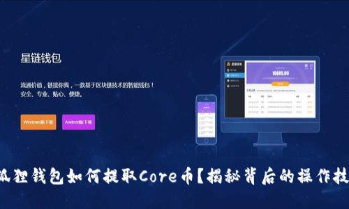小狐狸钱包如何提取Core币？揭秘背后的操作技巧！