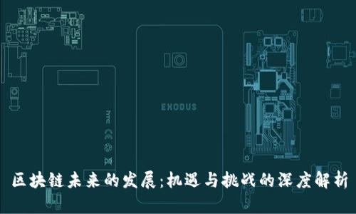 区块链未来的发展：机遇与挑战的深度解析