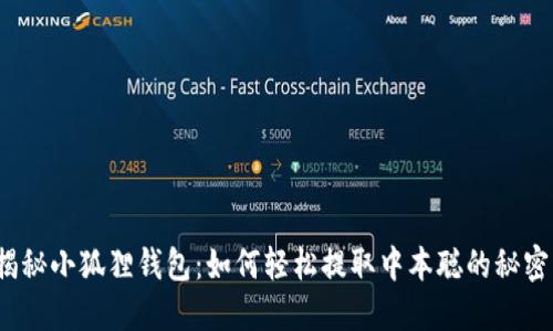 揭秘小狐狸钱包：如何轻松提取中本聪的秘密？