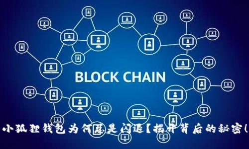 小狐狸钱包为何总是闪退？揭开背后的秘密！