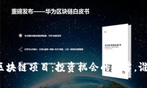 山东的新兴区块链项目：投资机会的迷雾，谁将率先揭开？