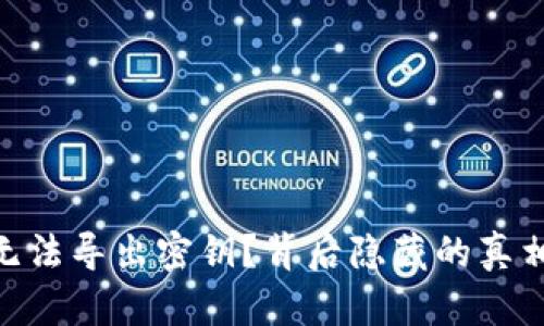 MetaMask无法导出密钥？背后隐藏的真相与解决方案