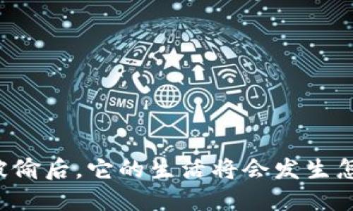 当小狐狸钱包被偷后,它的生活将会发生怎样的精彩转折?