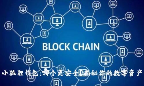 TP钱包与小狐狸钱包：哪个更安全？揭秘你的数字资产保护之道