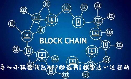 如何轻松导入小狐狸钱包APP助记词？探索这一过程的背后秘密！