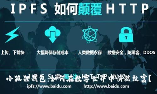 小狐狸钱包：如何在数字世界中悄然致富？