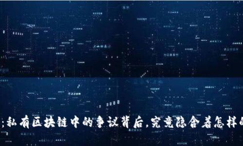 维卡币：私有区块链中的争议背后，究竟隐含着怎样的秘密？