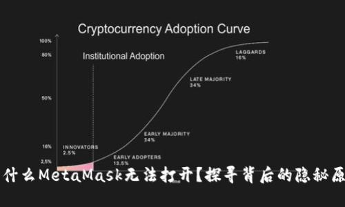 为什么MetaMask无法打开？探寻背后的隐秘原因