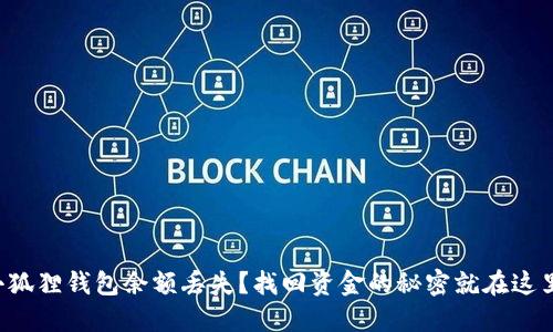 小狐狸钱包余额丢失？找回资金的秘密就在这里！