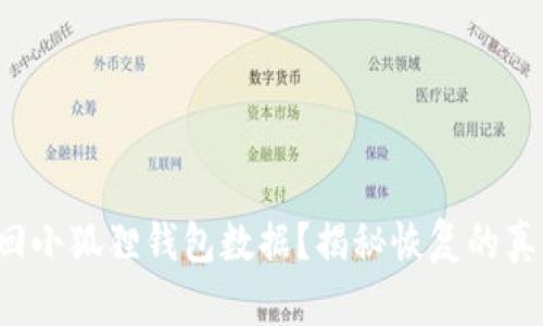 如何找回小狐狸钱包数据？揭秘恢复的真实秘密！