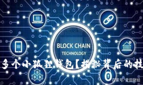 如何轻松搞定多个小狐狸钱包？揭秘背后的技巧与注意事项