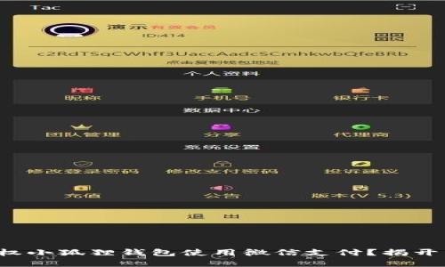 如何轻松授权小狐狸钱包使用微信支付？揭开背后的秘密！