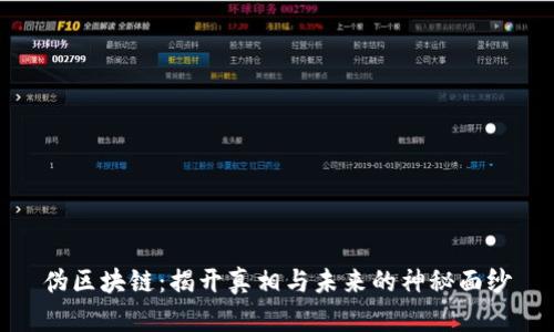 伪区块链：揭开真相与未来的神秘面纱