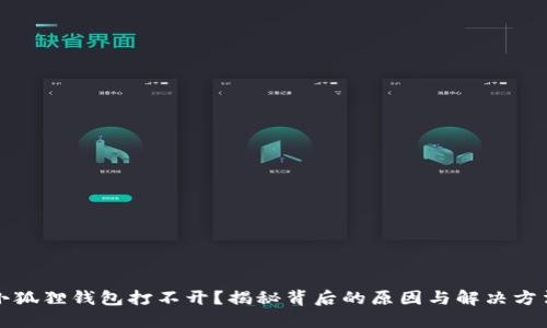 小狐狸钱包打不开？揭秘背后的原因与解决方法