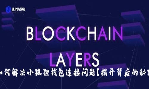 如何解决小狐狸钱包连接问题？揭开背后的秘密