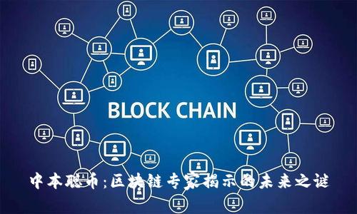 中本聪币：区块链专家揭示的未来之谜