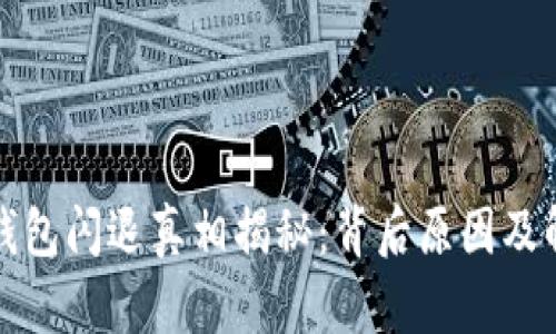 小狐狸钱包闪退真相揭秘：背后原因及解决办法