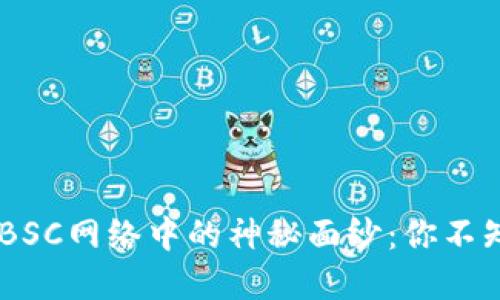 揭开MetaMask在BSC网络中的神秘面纱：你不知道的秘密是什么？