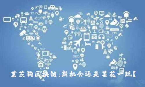 莱茨狗区块链：新机会还是昙花一现？