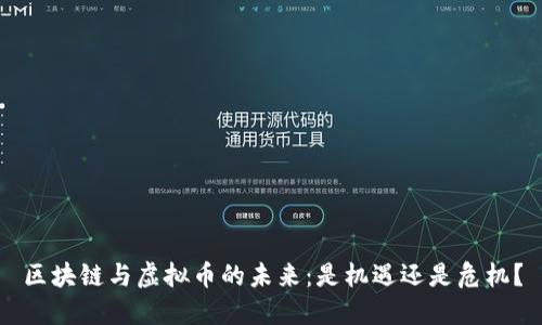 区块链与虚拟币的未来：是机遇还是危机？
