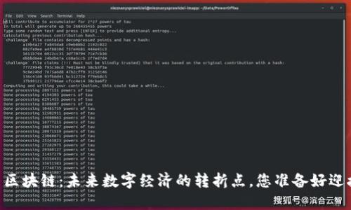OLAY币区块链：未来数字经济的转折点，您准备好迎接了吗？