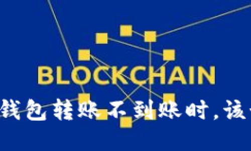 当小狐狸钱包转账不到账时，该如何应对？