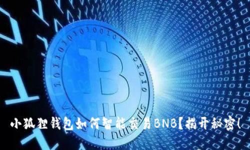 小狐狸钱包如何智能交易BNB？揭开秘密！