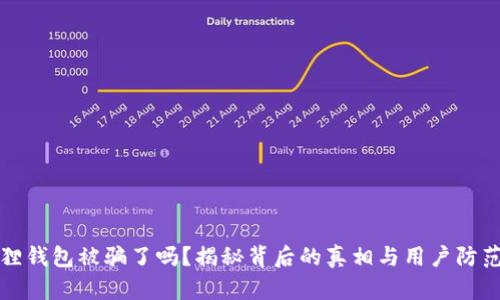 小狐狸钱包被骗了吗？揭秘背后的真相与用户防范指南