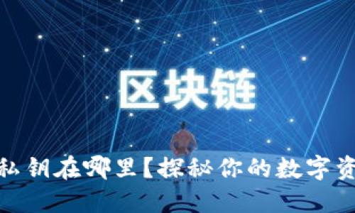 小狐狸钱包私钥在哪里？探秘你的数字资产安全之道