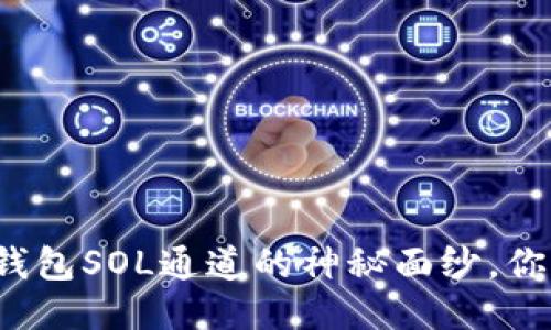 揭开小狐狸钱包SOL通道的神秘面纱，你准备好了吗？